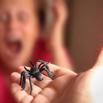 vrouw angst van spin